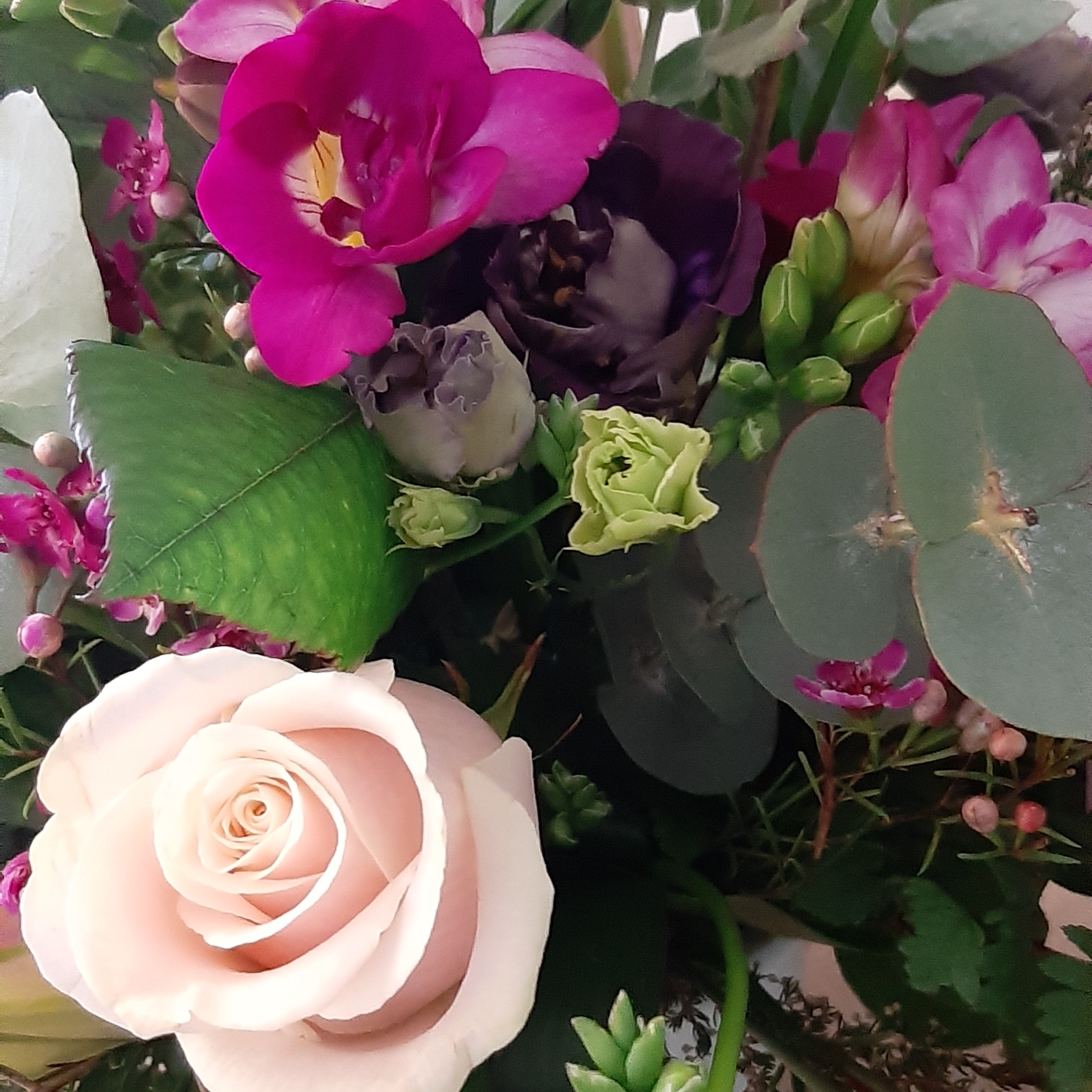 flower delivery - Lily Bloom FloristLily Bloom Florist